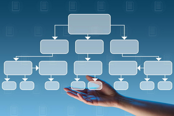 Organisationsstruktur